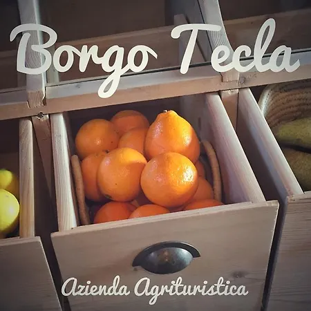 Borgo Tecla * Rosà